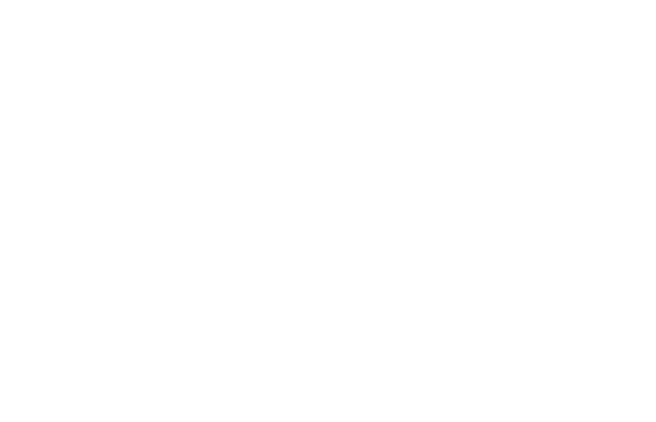 Saxor Tires